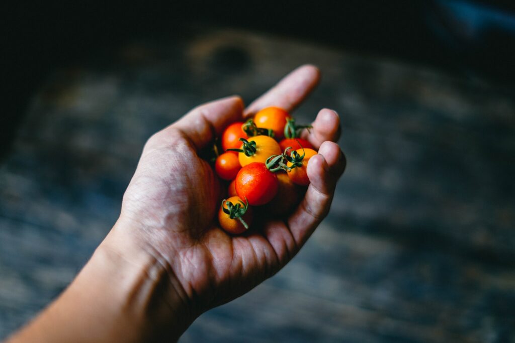 Alimentos orgânicos Benefícios, Mitos e Como Escolher