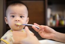 Foto de Entenda sobre alimentos Sólidos para Bebês e Crianças